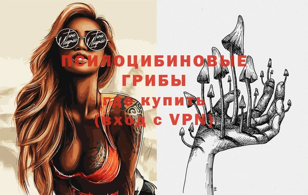 эйфоретик Алексин